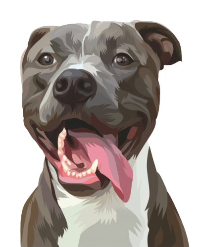 dog_cartoon_digital_portrait_designing